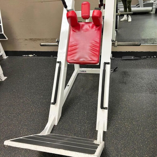 Cybex Hack Squat