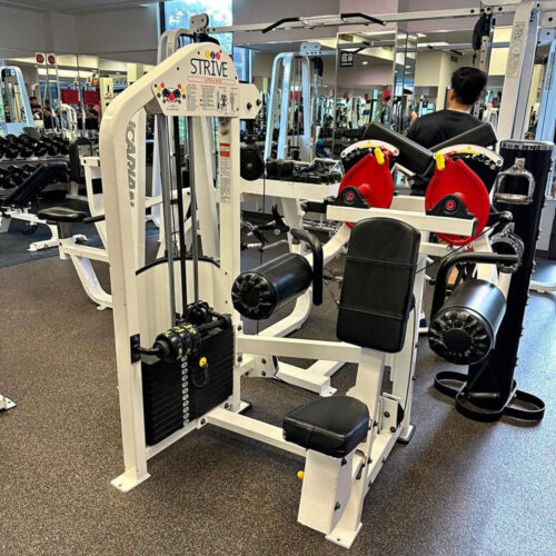 Strive Lateral Raise