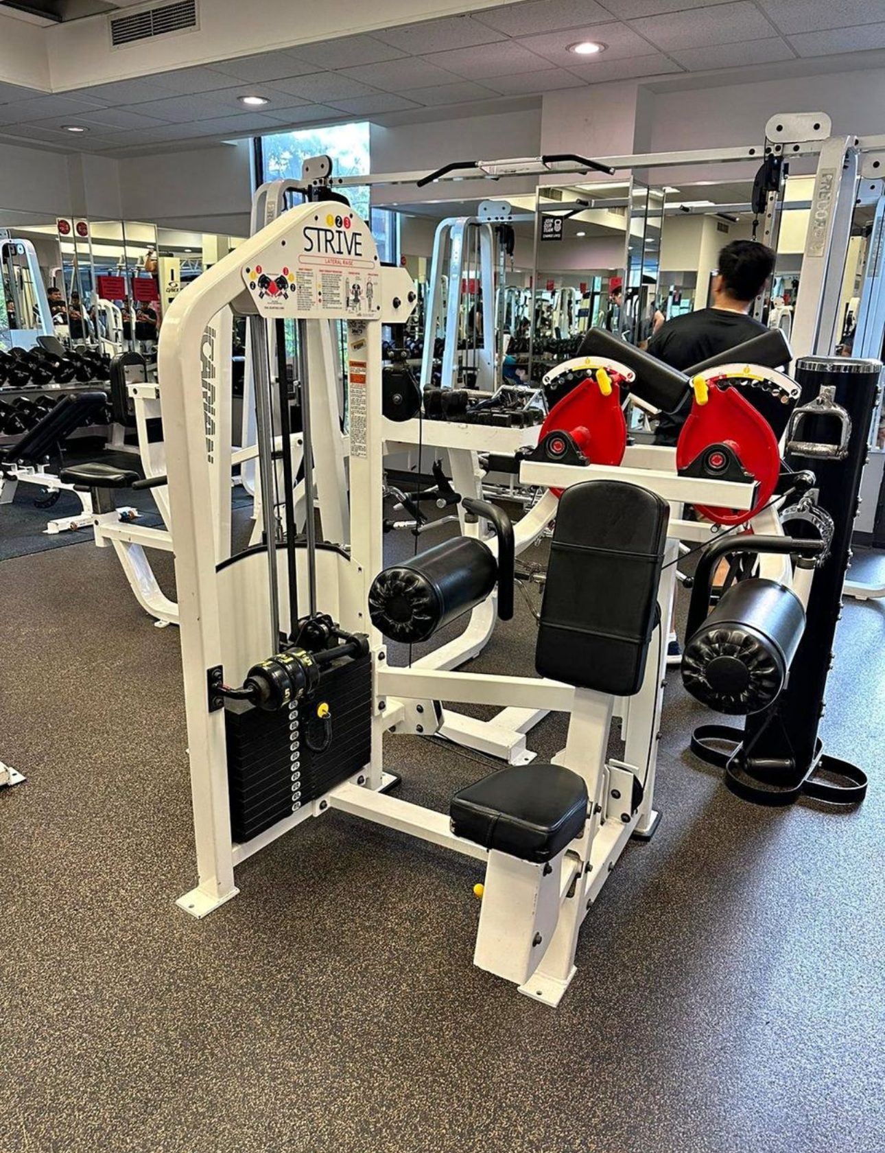 Strive Lateral Raise