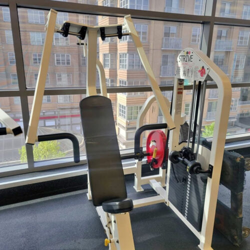 Strive Chest Press