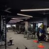 Top 10 Most Searched Gym Equipment in 2026 (USA & Canada) – What People Are Buying Right Now